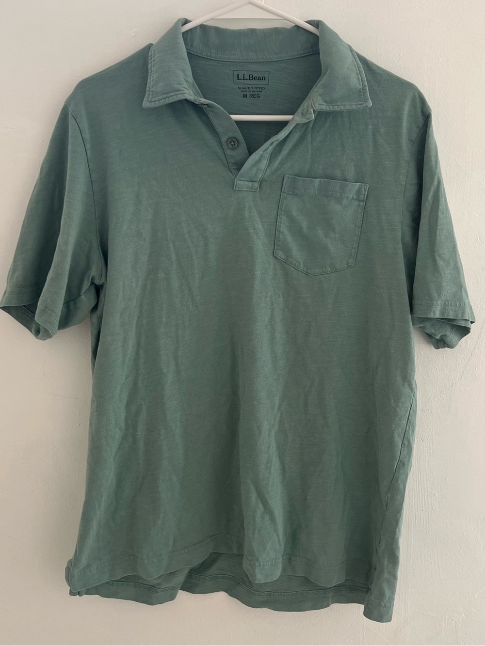 L.L. Bean Vintage Men's Polo Shirt in Sage Green
